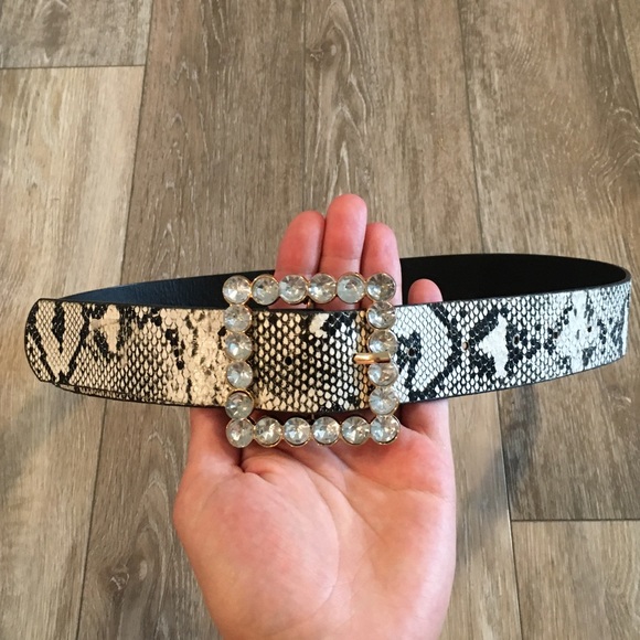 Fashion Nova snake print belt - Picture 3 of 3